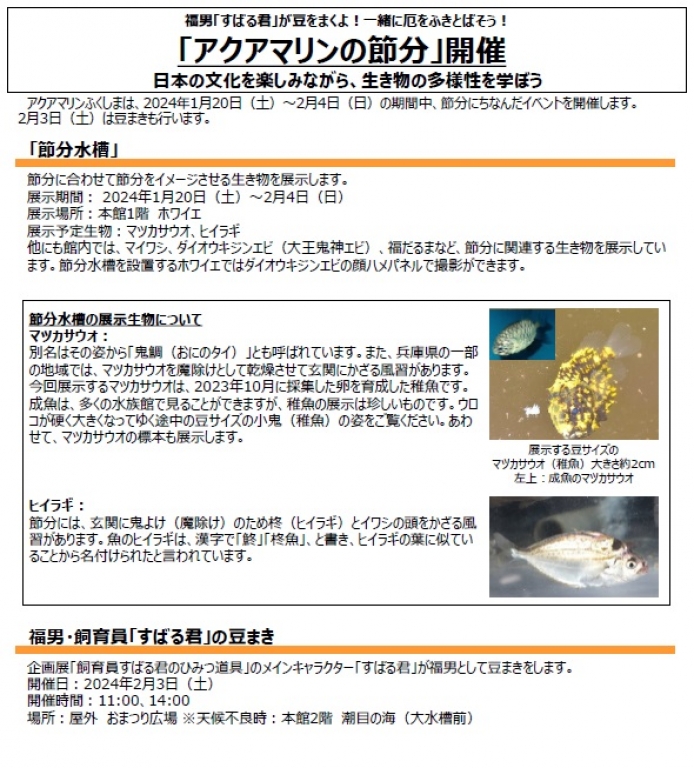 アクアマリンの節分