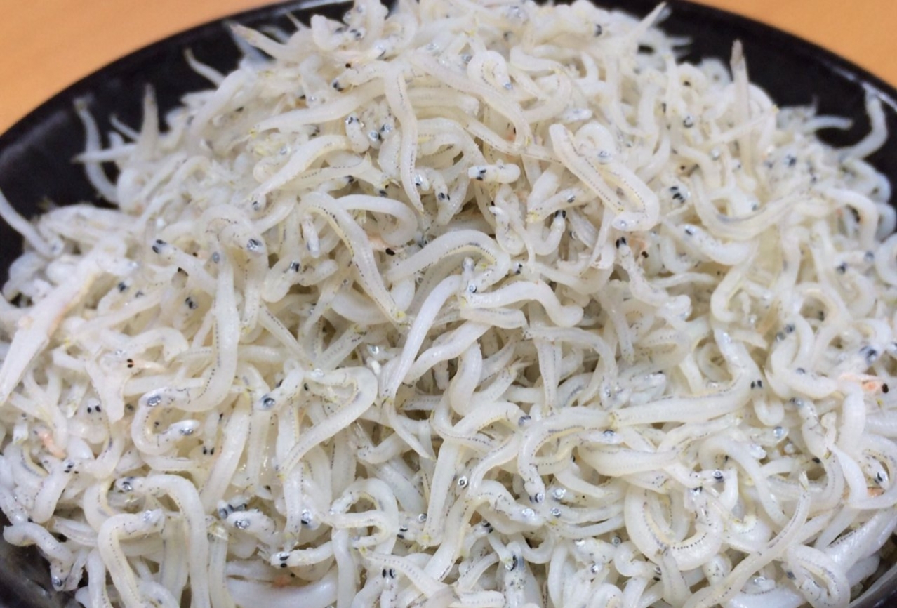 06大洗　大洗しらす丼