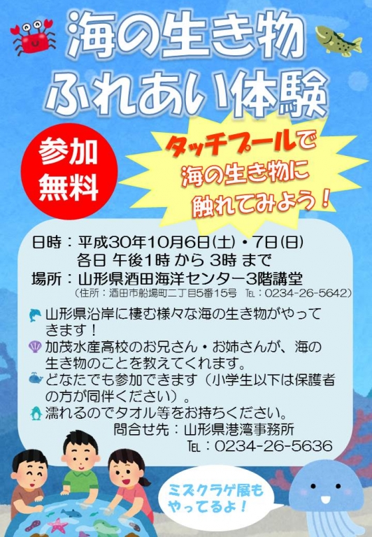 海の生き物ふれあい体験チラシ
