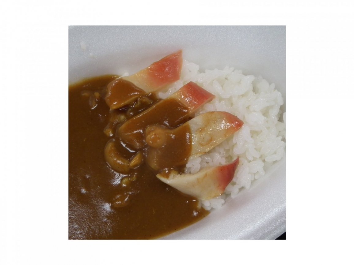 02苫小牧　ほっきカレー（サイズ大）